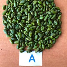 【伊朗进口绿色开心果仁*A级 】果酱烘培甜品用优质原料