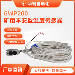 Mining PT100 Platinum Thermal Resistance Mining Temperature Sensor Coal Mine under Well Magnetic Temperature Sensing Probe