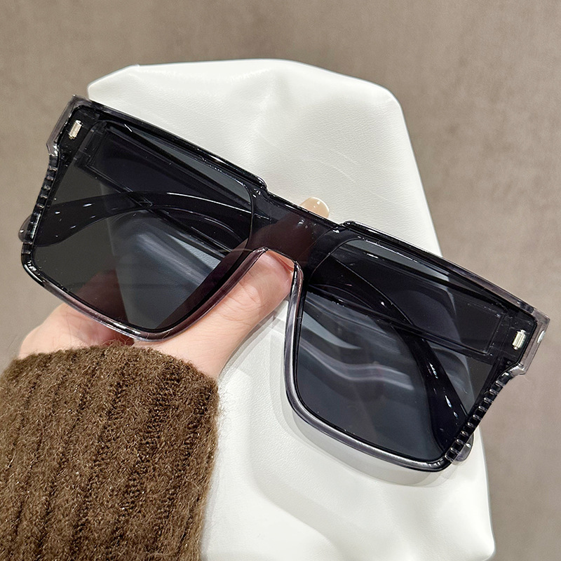 [model 06] transparent bright gray frame