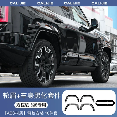 Equation Leopard 8 Widened Wheel Wheel eyebrow - fangcheng-leopard-8-black-body-kit-widened-wheel-arches-10-piece-set