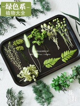 �Gɫ������ֲ���ȫ�ɻ�DIY���Ͻ���ˮ����ǧ�ӽ��ֹ����։�����