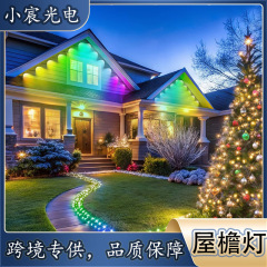 跨境户外庭院装饰屋檐灯 圣诞节新款智能APP遥控防水幻彩RGB灯带