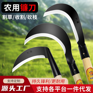 砵��i�ľ���r�ù����ո�ݵ����񵶑��������Ͳ˻������Ӻ��i�