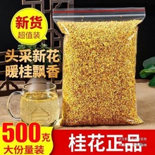 广西桂林散装浓香型桂花干花500g新鲜食用烘焙金桂花茶泡水包装