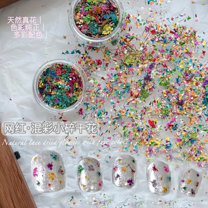 Dried Flower Nail Art Accessories Cross-Border New Colorful Lace Small Floral Japanese Style Natural Fresh DIY Nail Decoration