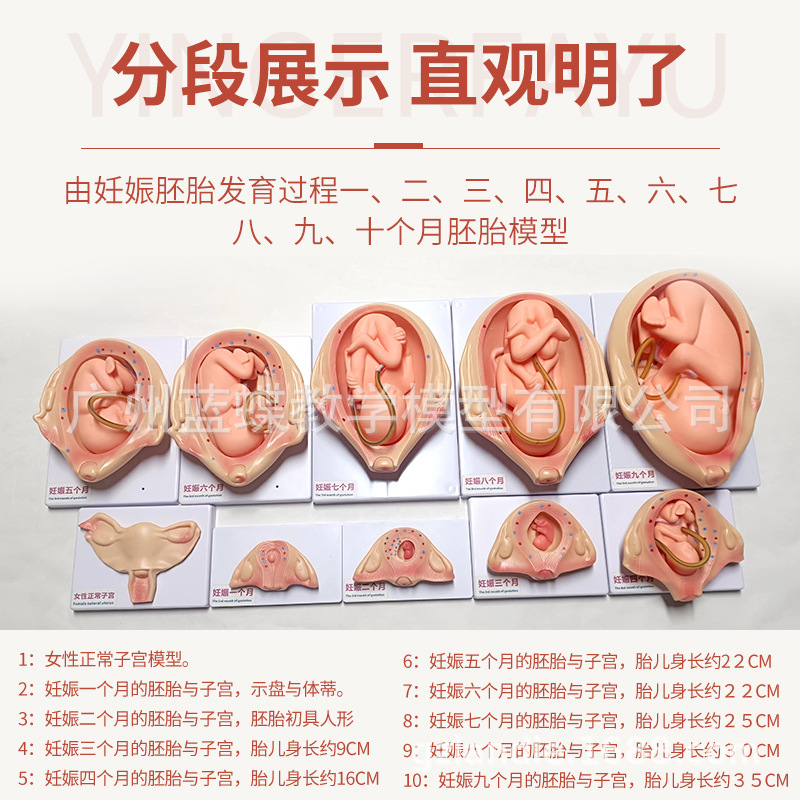 ������̥����ģ�� �ƻ�����ģ�� 9����̥����������ģ��10����