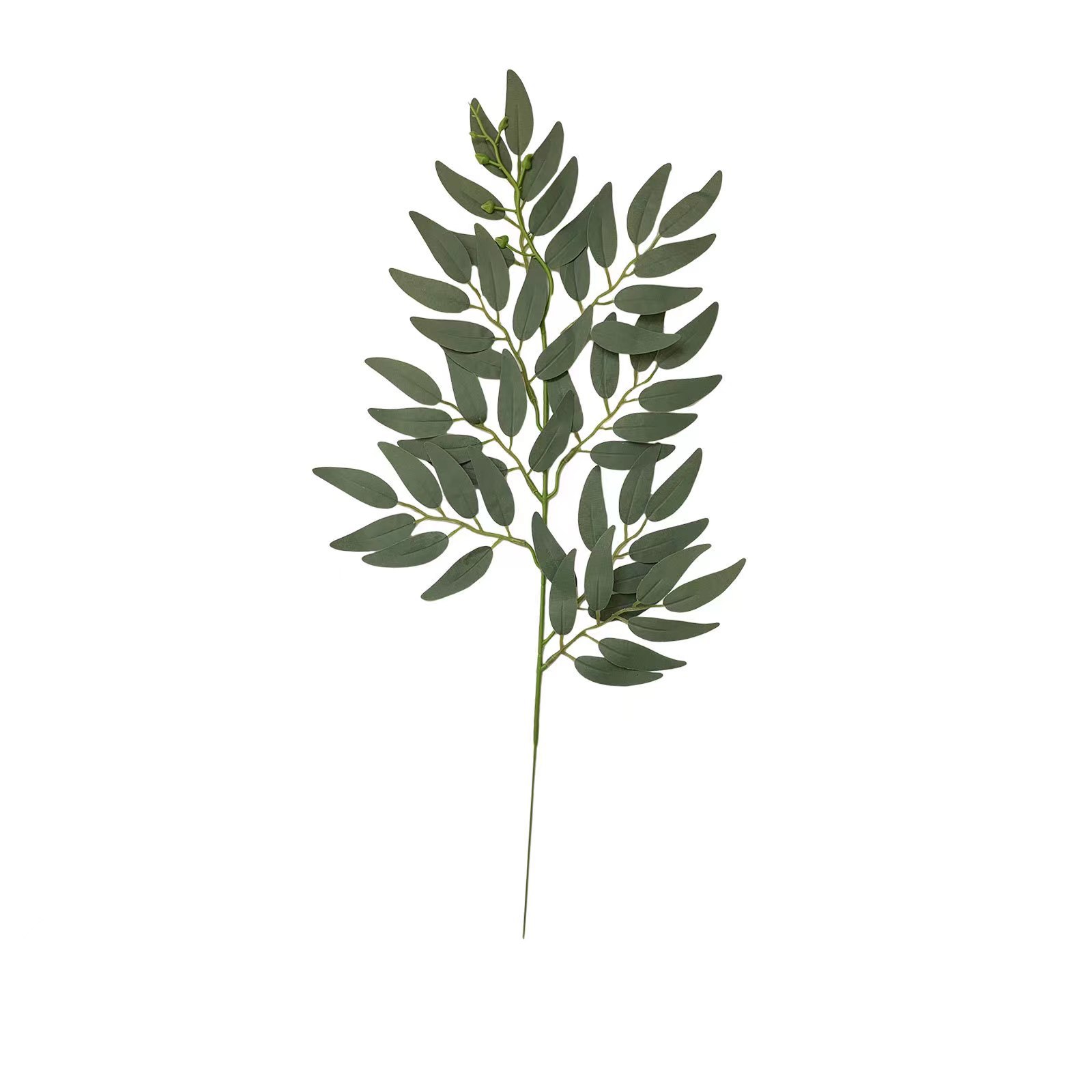 버드나무 잎 단일 가지--회색