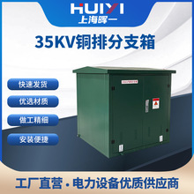 厂家直供35KV铜排分支箱一进二出电缆成套开闭所欧式高压对接箱