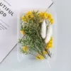 K23 lemon tree flower box: free hemp rope for binding flowers and leaves