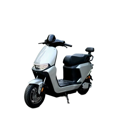 Electric Motorcycle Electric Bicycle, Elektrikli motosikletlər