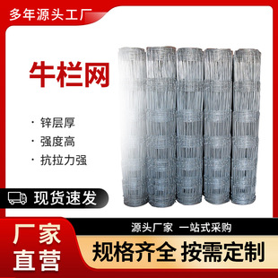 �ӱ�ţ�ھW�S�����l��ԭ�������ھW�Bֳ��ţ¹�u���x�F�z�W����