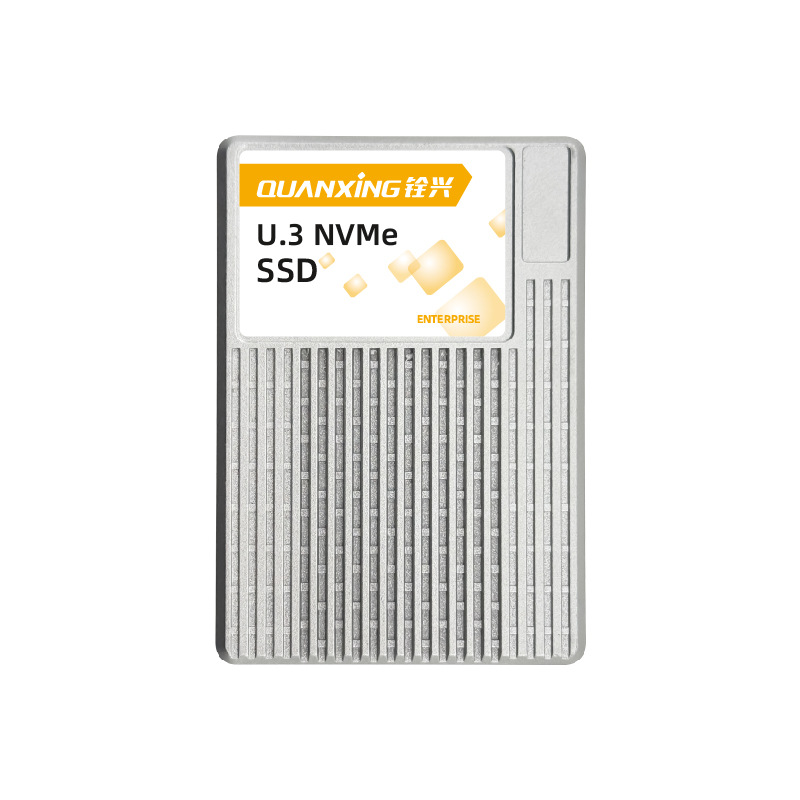 Qx U.2 Nvme Ssd Hard Drive Isc3G01 -40 ° C~85 ° C Wide-Temperature Hard Drive