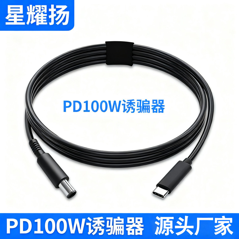 Type-Cpd Decoy Cable 65W Laptop Power Cord 20V Voltage 3A Current Dc5521/5525Pd Fast Charging
