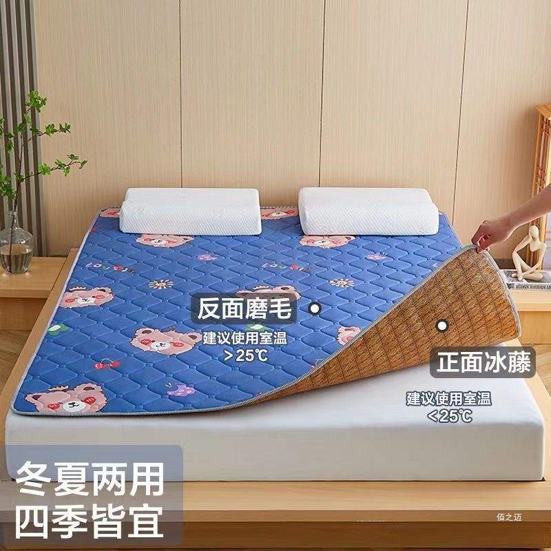 Student Dormitory Single Winter and Summer Dual-Use Foldableing Thin Household Tatami Summer Ice Silk Mat Mattress Cushion