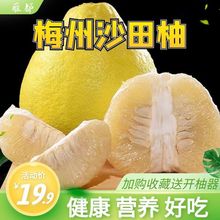 梅州沙田柚金柚應季水果柚子大果超甜孕婦批發冰糖柚白心整箱