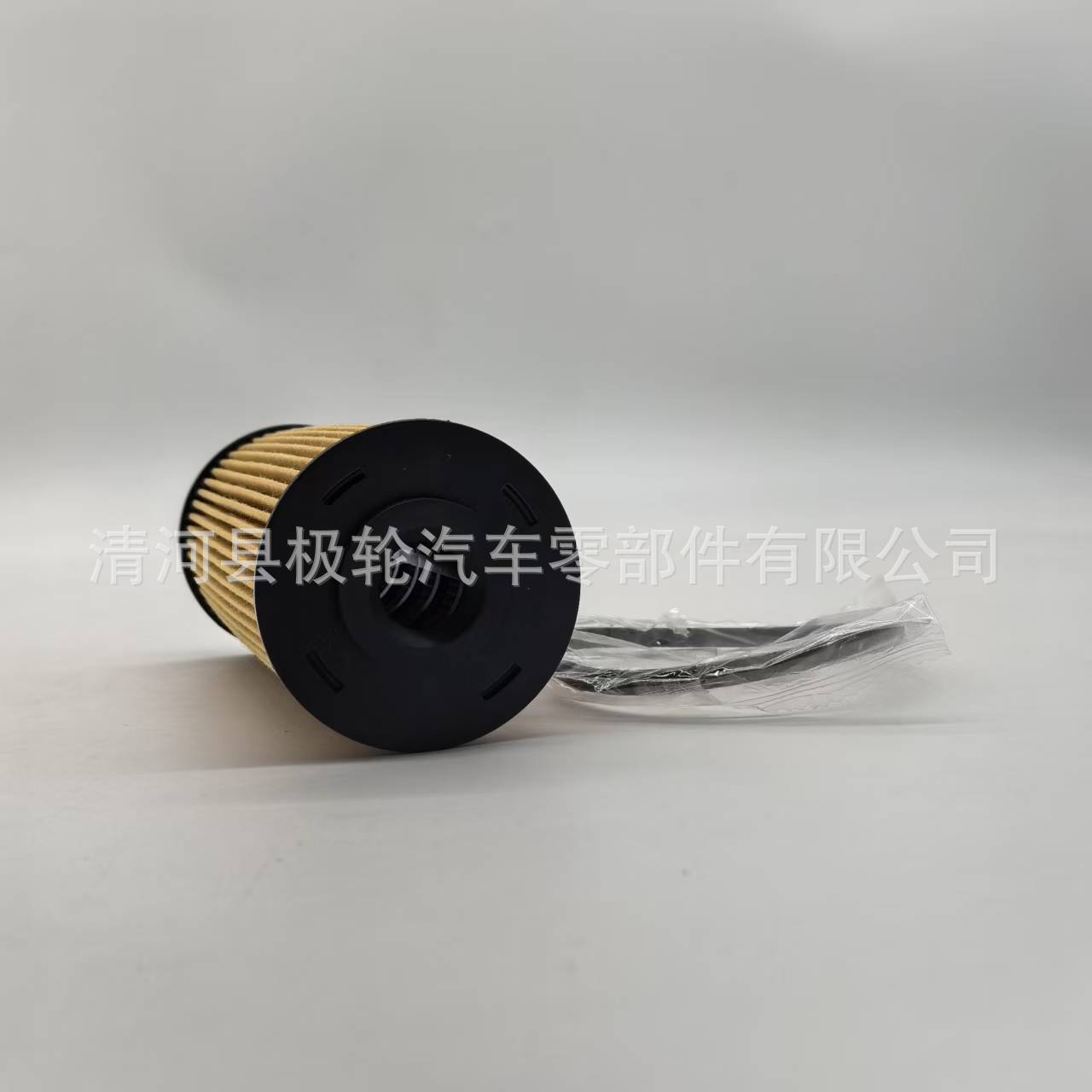 Isuzu Oil Filter 8-98018858-0 for Isuzu NPR85 NHR 4JJ1 (Oil filter)