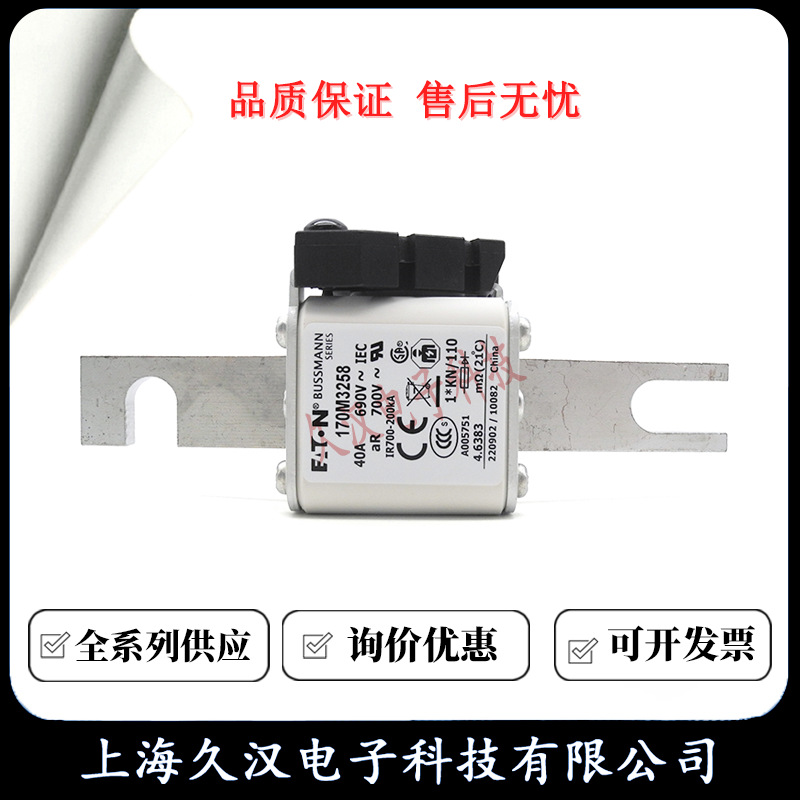 170M3258 170M3259 170M3260 170M3261 BUSSMANN 熔断器 保险丝