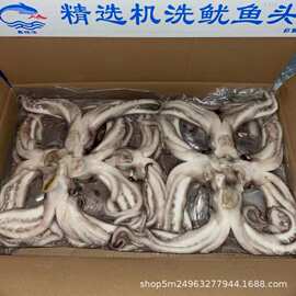 批发鱿鱼头鱿鱼须 冻货鱿鱼脚 铁板烧烤鱿鱼腿 火锅麻辣串鱿鱼板