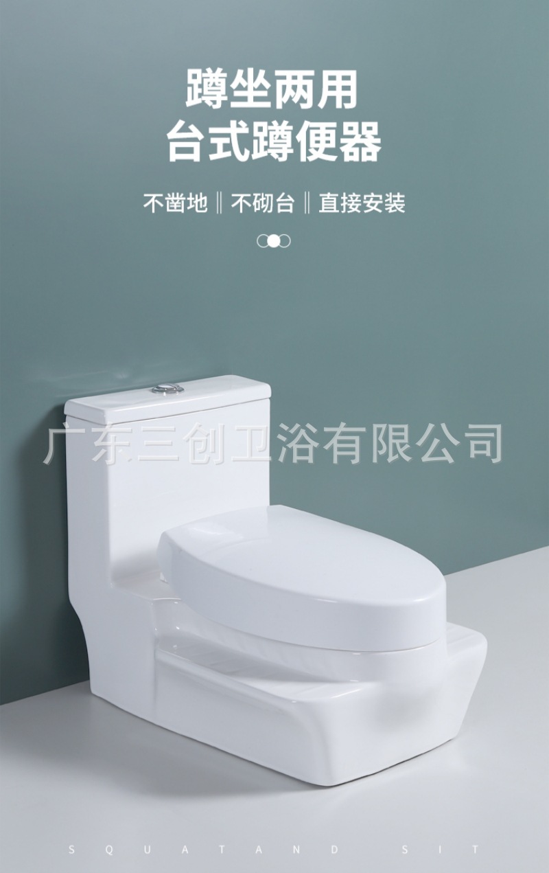 蹲坐两用马桶9001S-详情页 (1).jpg