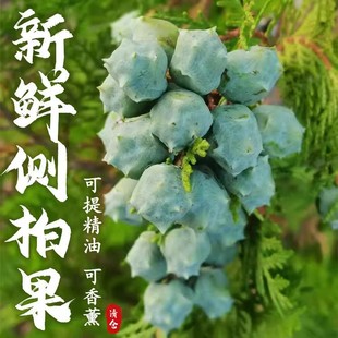 ����؎XҰɽ���r�Ȱع��ؘ���ؘ䶹�ؘ��~����~�Ȱض�������޹