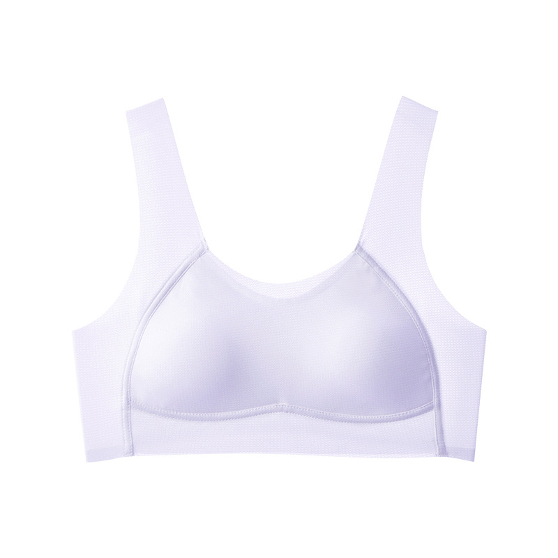 2408 purple