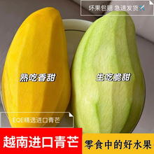 精品A果大青皮越南进口大青芒自然大果金煌芒生熟两吃净重包邮