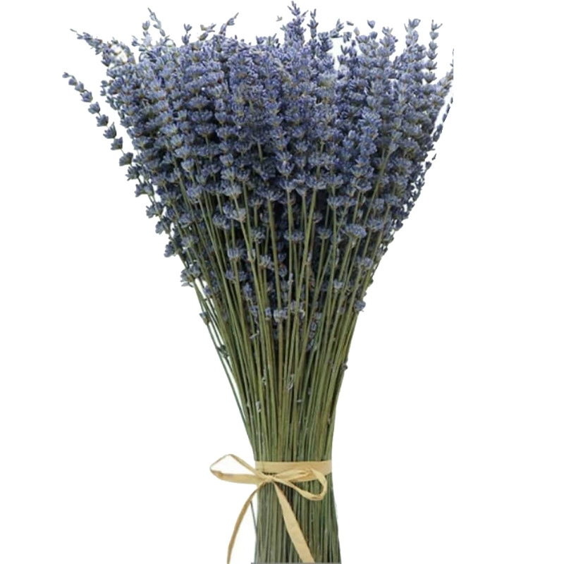 Lavender decorations, wholesale, Amazon