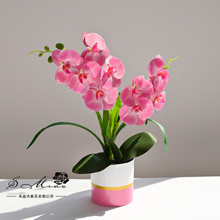 Fake Flowers 9-Head Hand-Feel Phalaenopsis Potted Plants Creative Artificial Flowers Home Studio Decoration Ornaments Artificial Green Plant Potted Plants