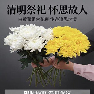 �ջ��r�� �S�հ׾ջ� �����������Ĺ�����r�����r�л����r�����l