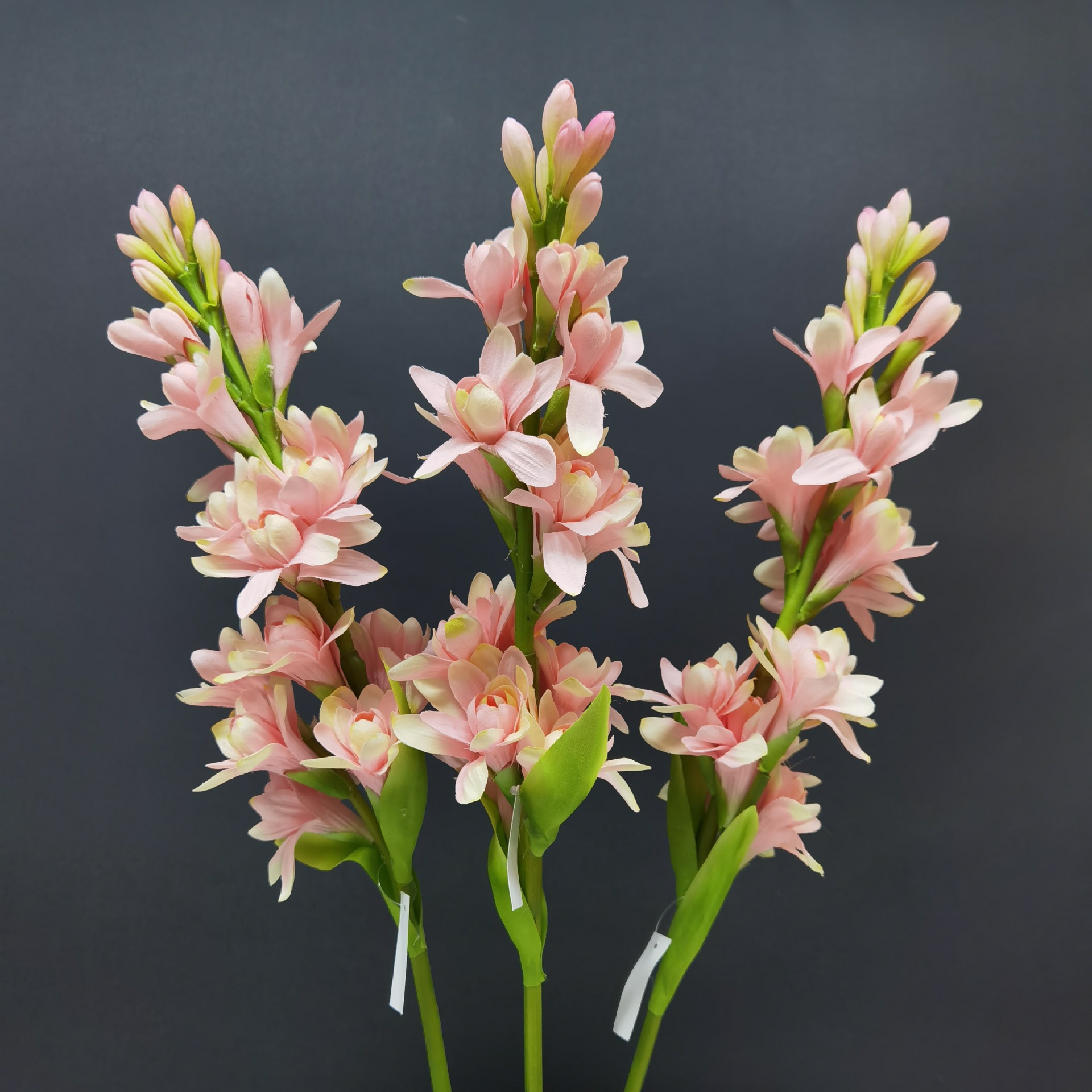 WeChat picture_20230419134857.jpg