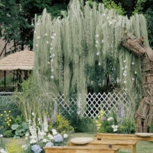 ˮ���~�z�ɻ������컨ˇ��ꐻ������ݻ�c���Ĵ��Ͳ������[���F�z