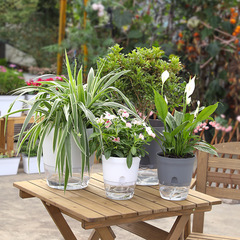 Creative transparent plastic pot with double-layer storage, automatic water-absorbing lazy person's pothos pot, large round pot for wholesale