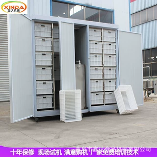 自动淋水控温豆芽机设备 大产量豆芽机生产线 无需人工看