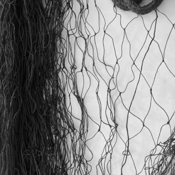 Сетка для защиты от птиц для транспортировки, сетка для защиты от птиц для аэропортов и рыбных прудов, нейлоновая сетка, сетка для защиты от птиц для садов и огородов, сельскохозяйственная сетка для защиты от птиц