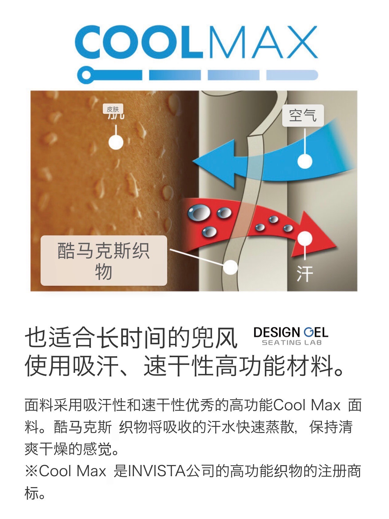 GYDESIGNGEL 이중 지원 구조 디자인 원래 내부 코어 젤 허리 허리 쿠션