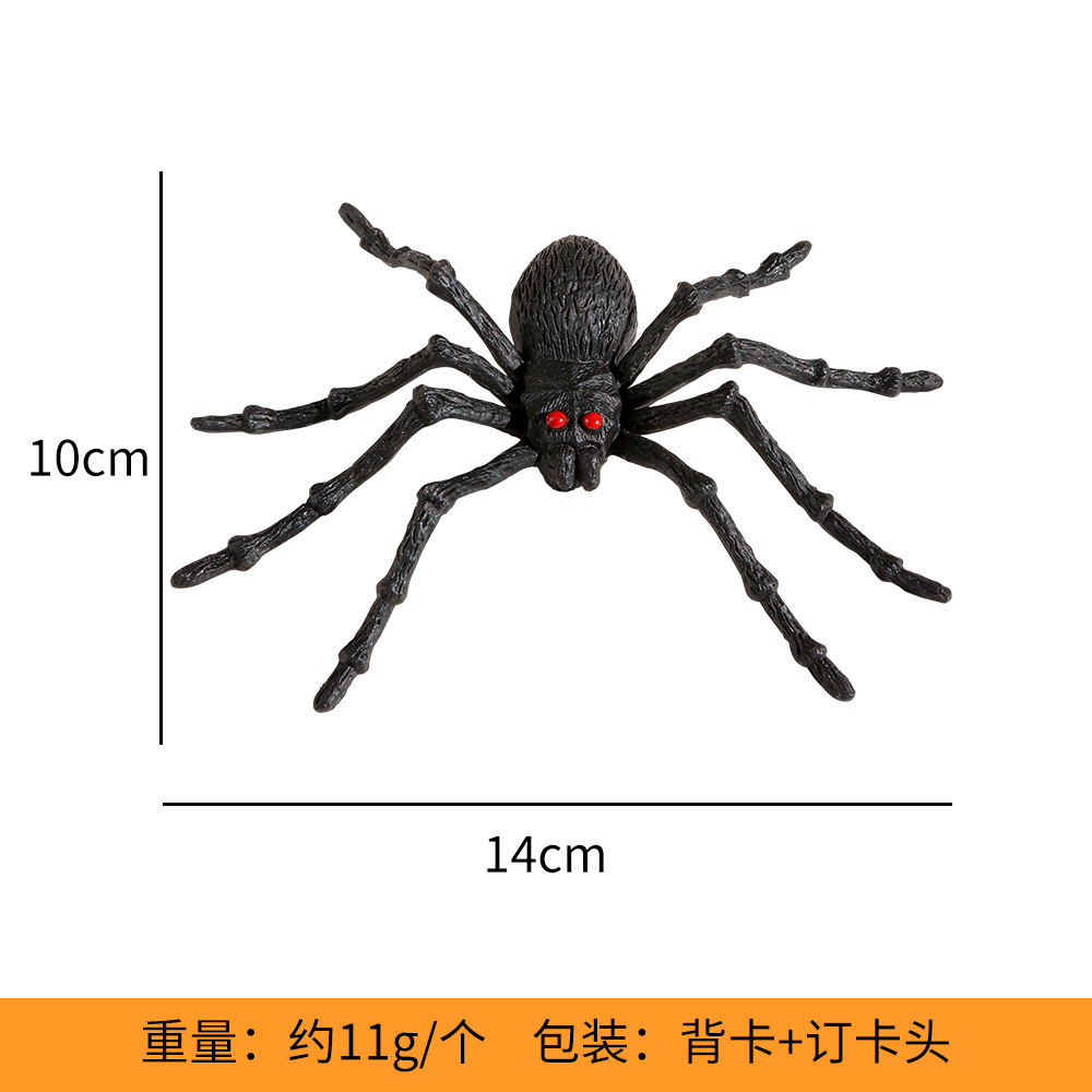 Black and red-eyed spider