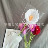 White horseshoe lotus