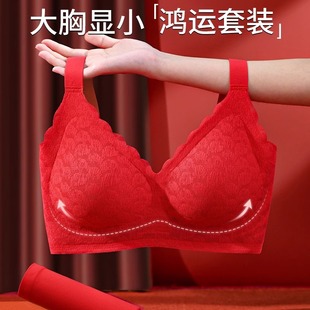�tɫ���½Y�������������ЋD2023�¿�����@С��a���������b����