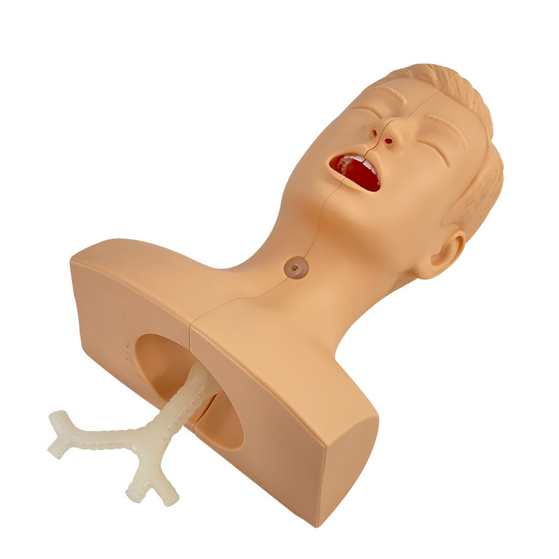 �߼���̵��ϰģ�� ��ǻ��ǻ�������ѵ��ģ�� ҽѧ�ò�����ѧģ��