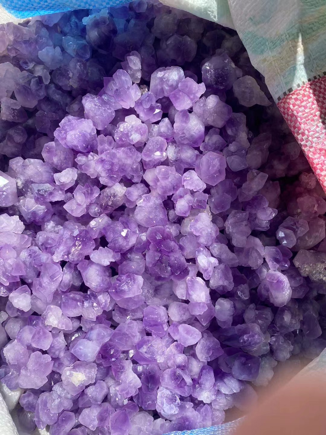 微信图片_20240526140532