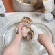 Pet Bath Basin Special Bath for Cats Cat Bath Dot Dog Bath Bucket Anti-running Cat Basin Cat Litter Basin