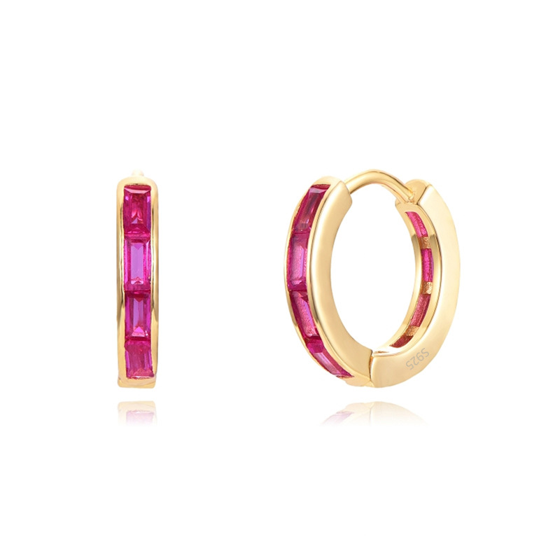 Fashion Geometric Sterling Silver Inlaid Zircon Earrings 1 Pair