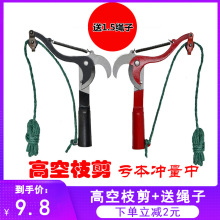 ��s��֦���K��ժ�����߿ռ����^��֦�����߿���֦�����޼���֦