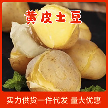 �SƤ�S������ 5��9�����r�߲��R����������l�����b�a��ֱ�l