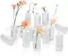 Transparent set, 12 pieces