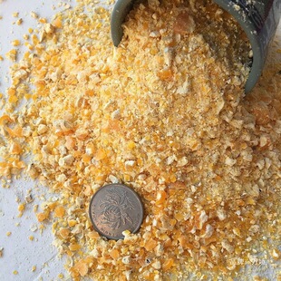 �Fĥ���׷�����Ƥ�����u���Z����ϴ�C���˹���������Ͻ�