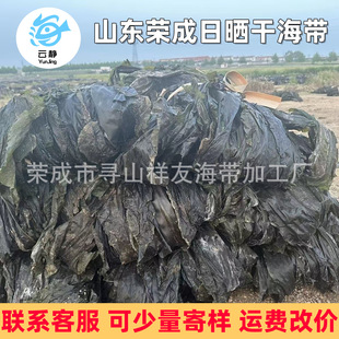 ɽ�|����Ƥ���lչ�N���ؔ���ɳ���S�~�o�����ܽ������l�غ�