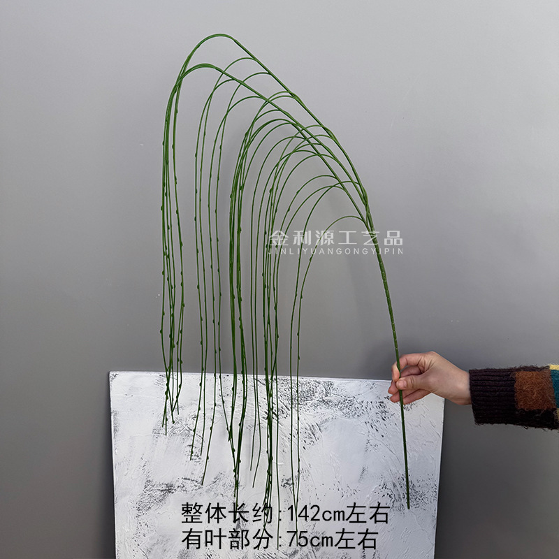 긴 고리버들 녹색