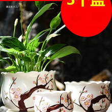 �����մɴ�̖���бP���Ä��₀�Լ��þG�}���m���⻨���