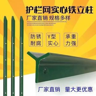 �����F���������F�z�W���ڗU���Pţ�ھW��Y���T�F���^����������